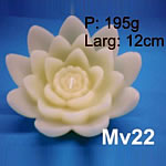 mv22